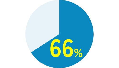 [円グラフ]66%